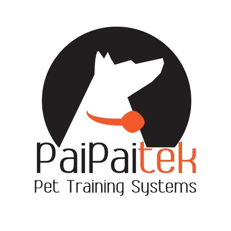 Shenzhen Paipai Technology Co., Ltd. (SHENZHEN PAIPAI TECHNOLOGY CO.,LTD)