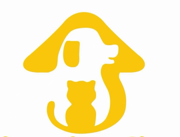 Ningbo Jinchen Intelligent Technology Co., Ltd.