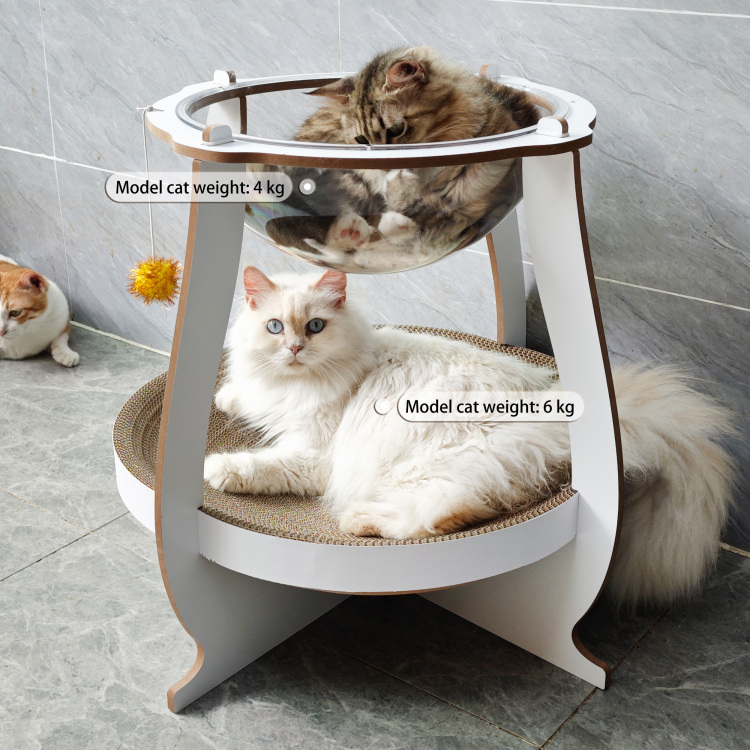Double-layer cat rack with corrugated paper tape and transparent cover ...
