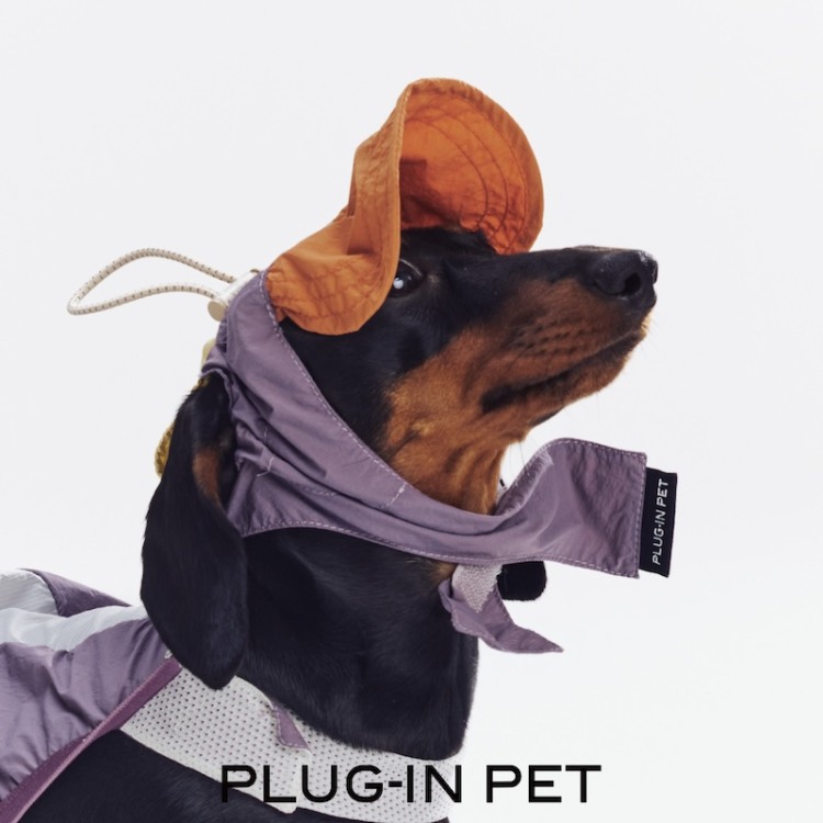 PLUG-IN PET Double Brim | PLUG-IN PET | Pet Fair Asia Showroom