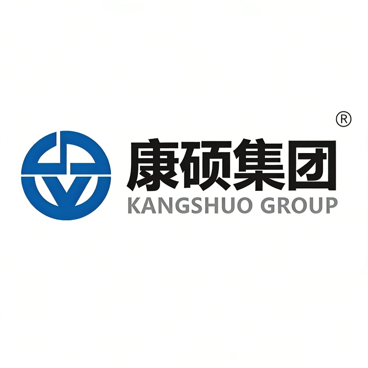 Kingsun Electric Group Co., Ltd.