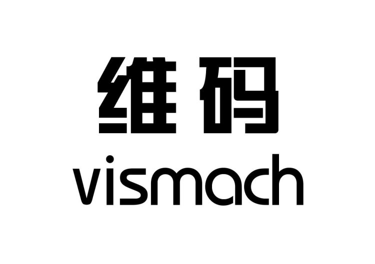 Wuhan Vismach Technology Ltd.