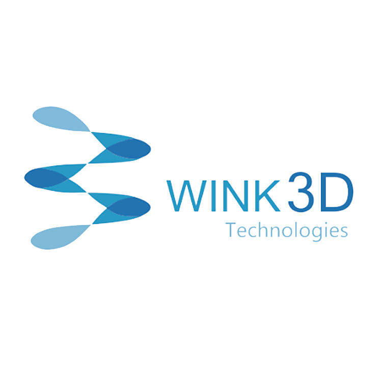 Shenzhen Dianjing 3D Technology Co., Ltd.