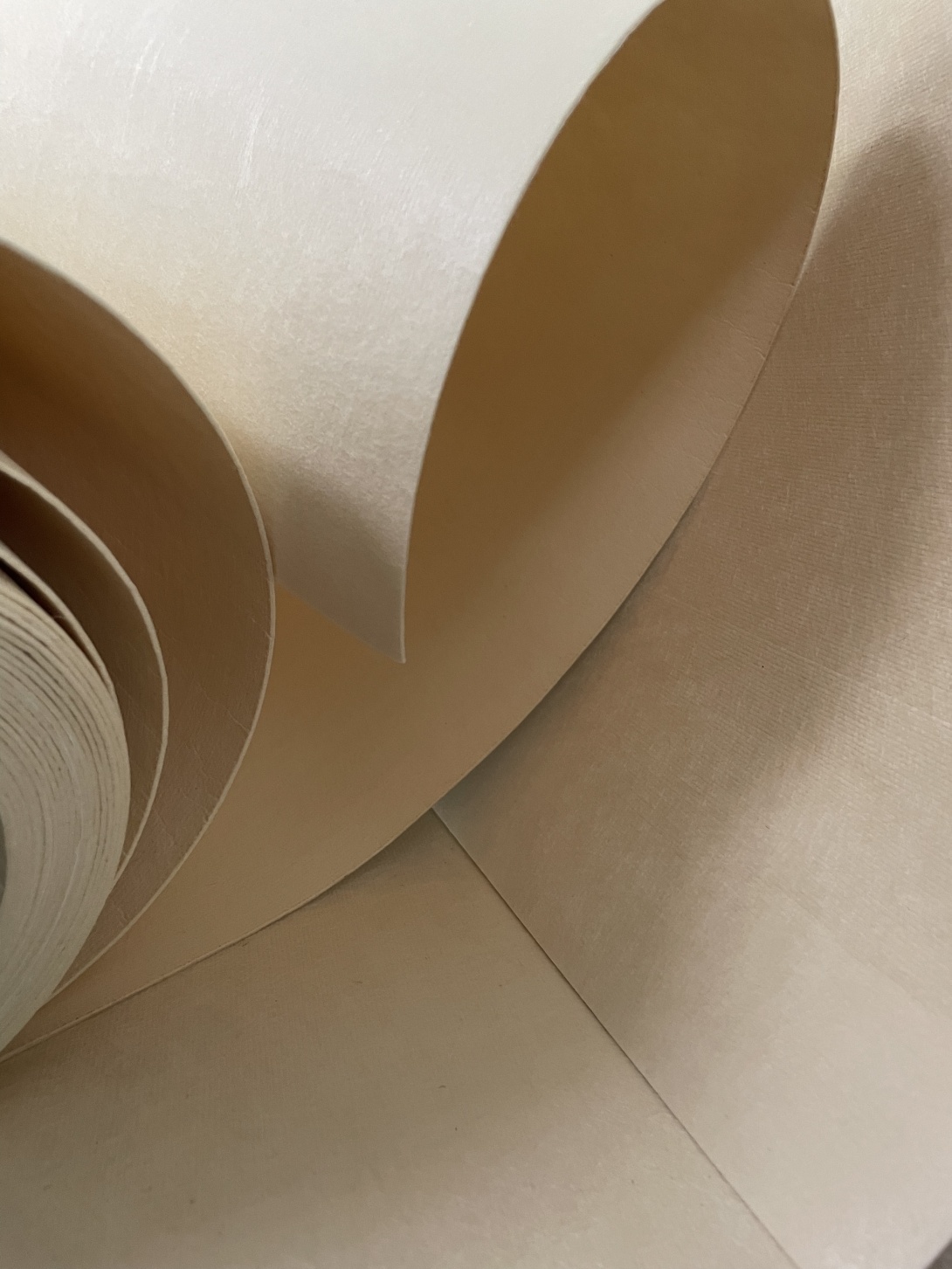 Toray PPS High-Temperature Resistant Material